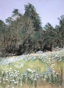 048 Prairie